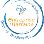 MarraineCLA2